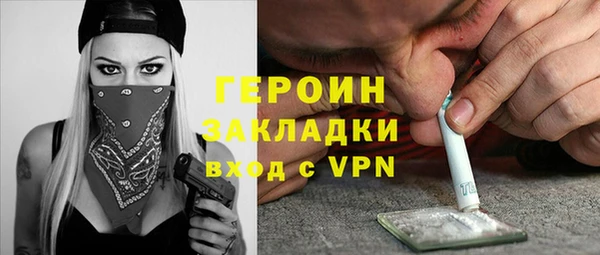 индика Володарск