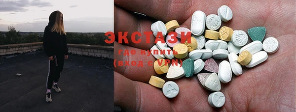 индика Володарск