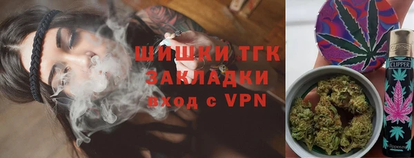 индика Володарск