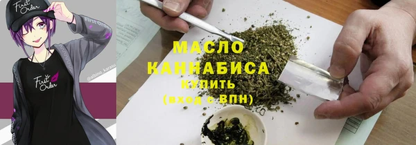 индика Володарск