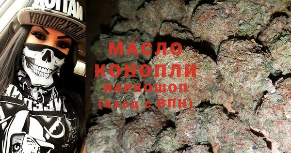 индика Володарск