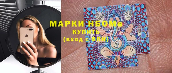 индика Володарск
