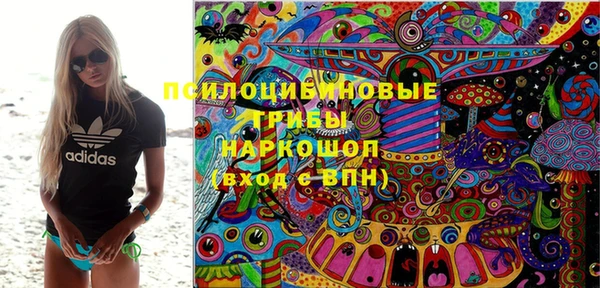 индика Володарск