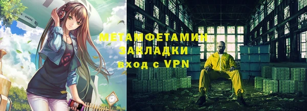 индика Володарск