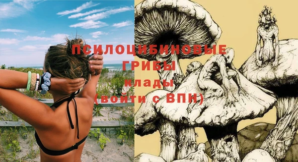 индика Володарск