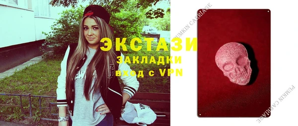 индика Володарск