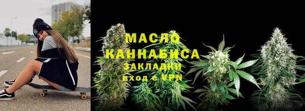 индика Володарск