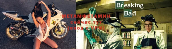 индика Володарск